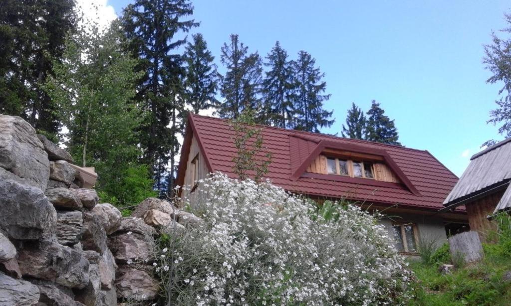 Guesthouse Planinski Dom Majerhold Solčava Exterior foto