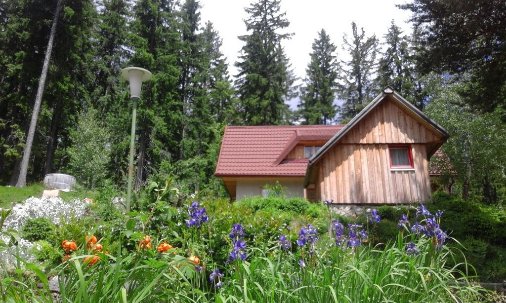 Guesthouse Planinski Dom Majerhold Solčava Exterior foto