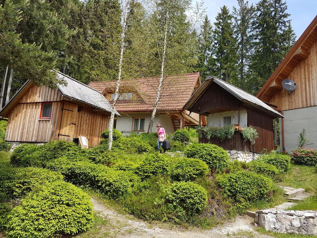 Guesthouse Planinski Dom Majerhold Solčava Exterior foto