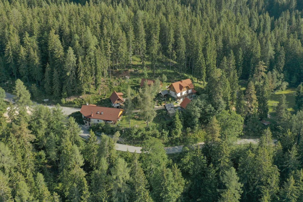 Guesthouse Planinski Dom Majerhold Solčava Exterior foto